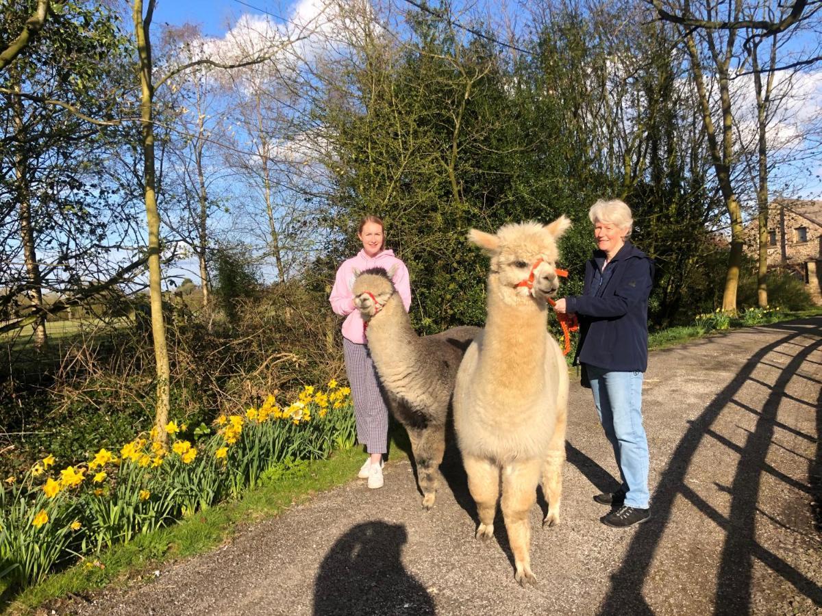 普雷斯顿Alpaca Fold别墅 外观 照片