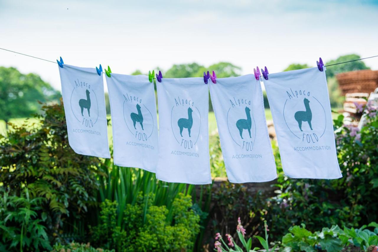 普雷斯顿Alpaca Fold别墅 外观 照片